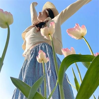酒精计划海报